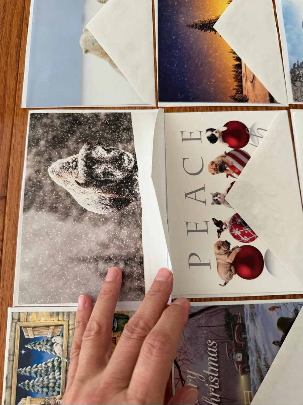 New Assorted Christmas & Holiday Greeting Cards Set of 10 with Envelopes